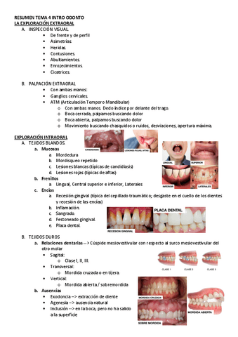 RESUMEN-TEMA-4-INTRO-ODONTO.pdf