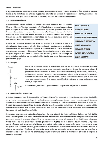 T2ANT.pdf