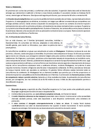 T3ANT.pdf