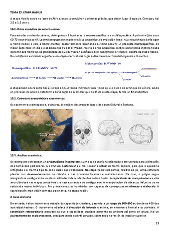 T13ANT.pdf