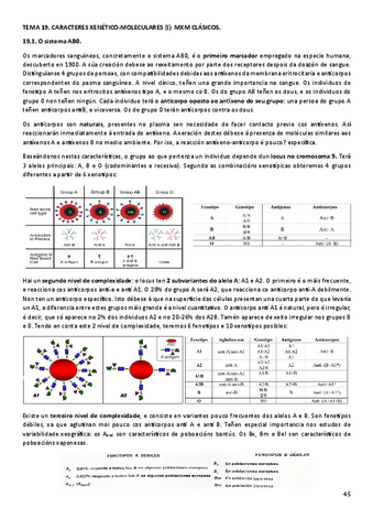 T19ANT.pdf