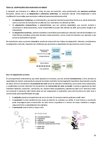 T21ANT.pdf