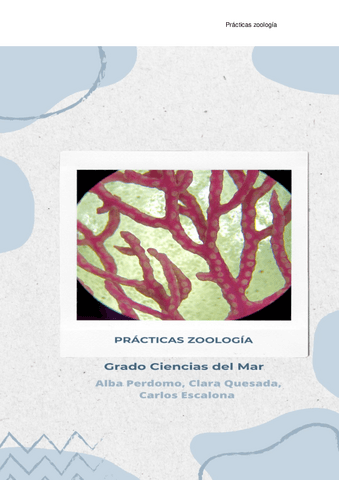 Visu-Zoologia.pdf