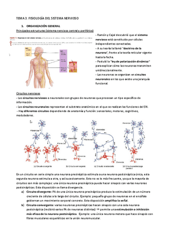 TEMA-3.-FISIOLOGIA-DEL-SISTEMA-NERVIOSO.pdf