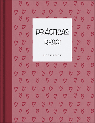 Practicas-Respi.pdf