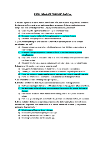 APE-PREGUNTAS-SEGUNDO-PARCIAL.pdf