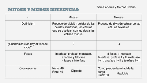 MITOSIS-Y-MEIOSIS-TABLA.pdf