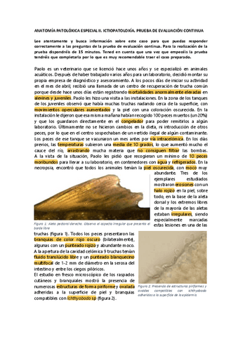 caso ictiopatología de evaluación continua.pdf