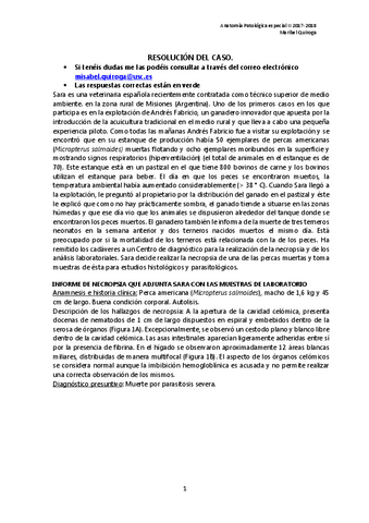 caso-practico-PECES-resolucion-2017-18.pdf