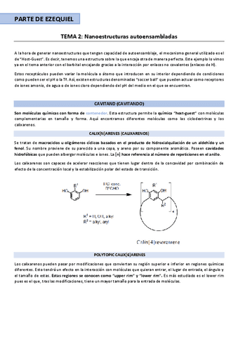 Tema-2-Nano-Ezequiel.pdf