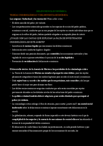 Tema-5-Delincuencia-Economica.pdf
