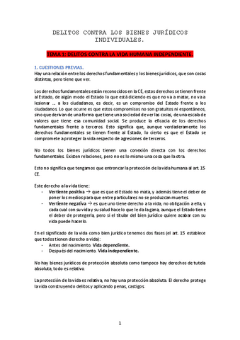 DELITOS-CONTRA-LOS-BIENES-JURIDICOS-INDIVIDUALES.pdf