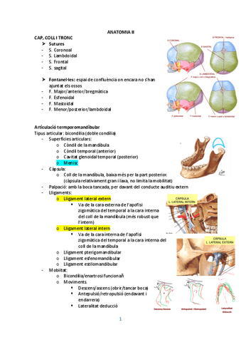 CAP-COLL-I-TRONC.pdf