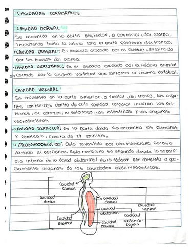 Cavidades-Corporales.pdf