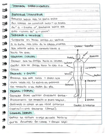 Terminos-dirreccionales.pdf