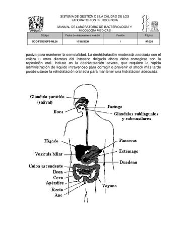 Manual-de-laboratorio-de-bacteriologia-y-micologia-medicas-1-7.pdf