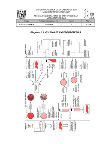 Manual-de-laboratorio-de-bacteriologia-y-micologia-medicas-1-8.pdf