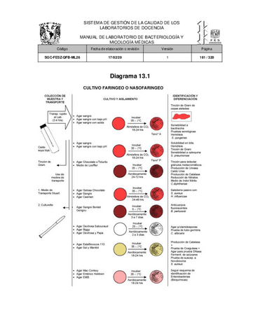 Manual-de-laboratorio-de-bacteriologia-y-micologia-medicas-1-11.pdf