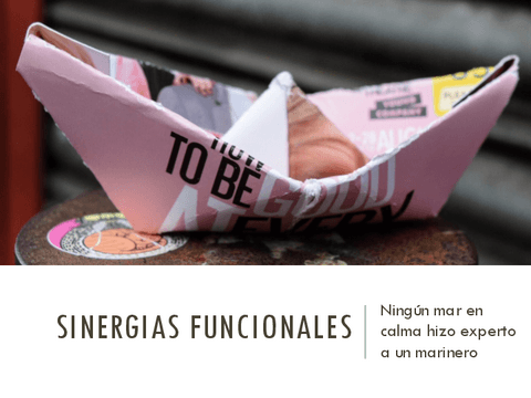 Tema-2-SINERGIAS-FUNCIONALES.pdf