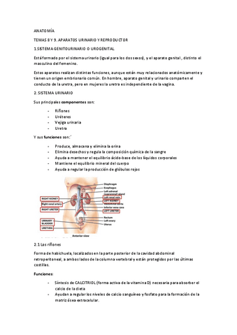 ANATOMIA-temas-8-y-9.pdf