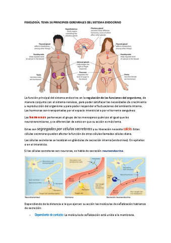 FISIOLOGIA-tema-16.pdf