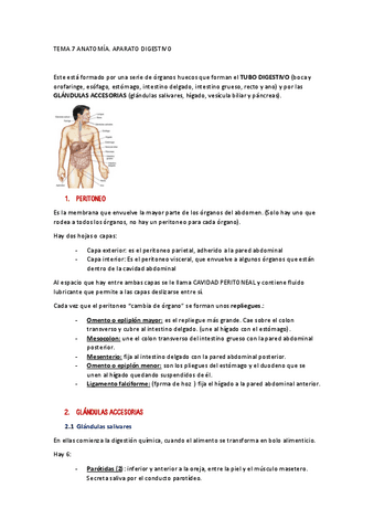 TEMA-7-ANATOMIA.pdf
