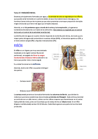 Tema-17.-Sistema-renal.pdf