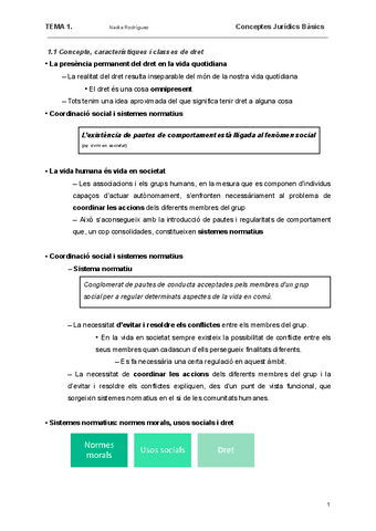 Tema-1-Conceptes-juridics-basics.pdf