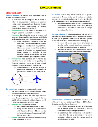 5.-TAMIZAJE-VISUAL.pdf