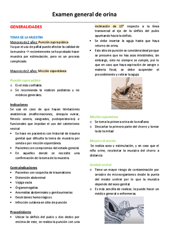 8.-UROANALISIS.pdf