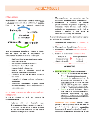 9.-ANTIBIOTICOS-1.pdf