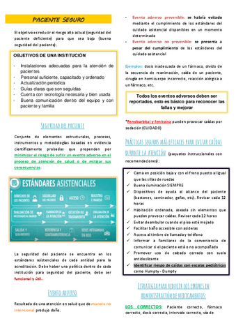 11.-PACIENTE-SEGURO.pdf