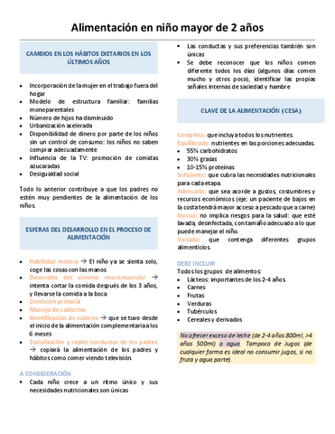 13.-ALIMENTACION-EN-EL-NINO-MAYOR-DE-2-ANOS.pdf