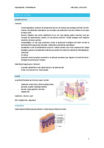 Tema-16-la-pell.pdf