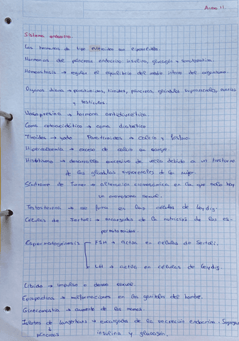 Anexo-II.-Tecnicas-Basicas-de-Enfermeria..pdf