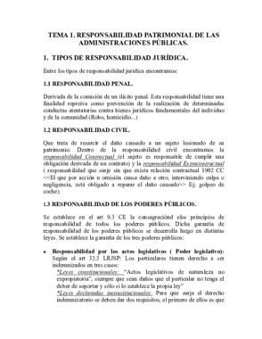 TEMA 1.pdf