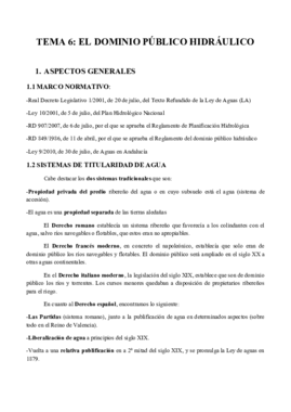 TEMA 6.docx.pdf