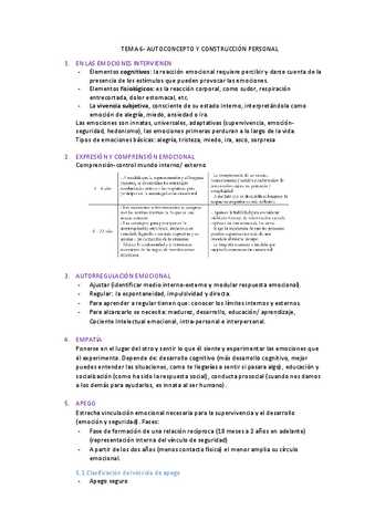 TEMA-6-psicologia-de-la-educacion.pdf