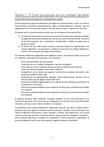 dret-processal-temari-complet.pdf