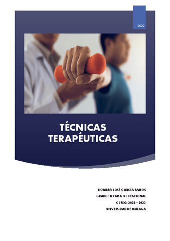 TÉCNICAS TERAPÉUTICAS.pdf
