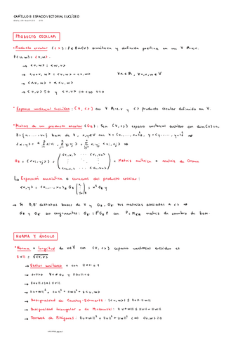 ESPACIO VECTORIAL EUCLÍDEO.pdf