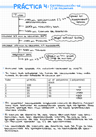 Practica-4-bioquimica.pdf