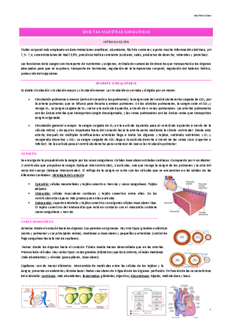 GMB-Muestras-sanguineas-muestras-de-heces-muestras-de-saliva-muestras-de-orina-muestras-ginecologicas-y-muestras-de-semen.pdf