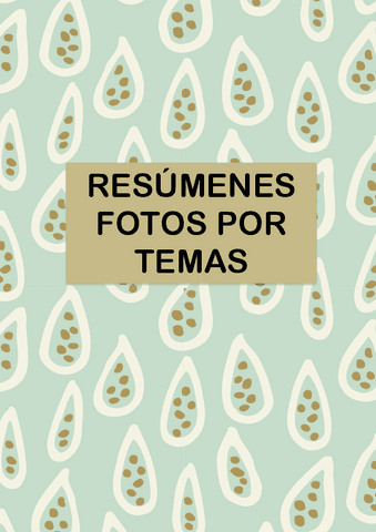 Resumenes-Fotos.pdf