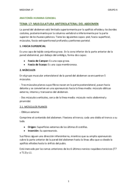 TEMA 17 - MUSCULATURA ANTEROLATERAL DEL ABDOMEN.pdf
