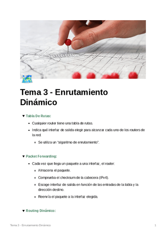 T3_EnrutamientoDinamico.pdf