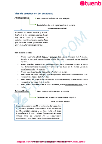 Linfaticos-Locomotor-9.pdf