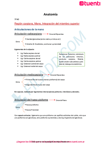Linfaticos-Locomotor-1.pdf