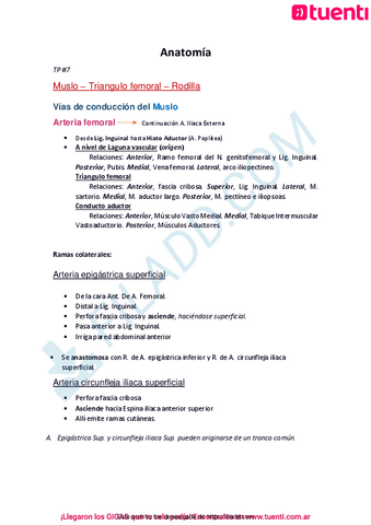Linfaticos-Locomotor-2.pdf