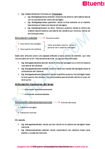 Linfaticos-Locomotor-3.pdf